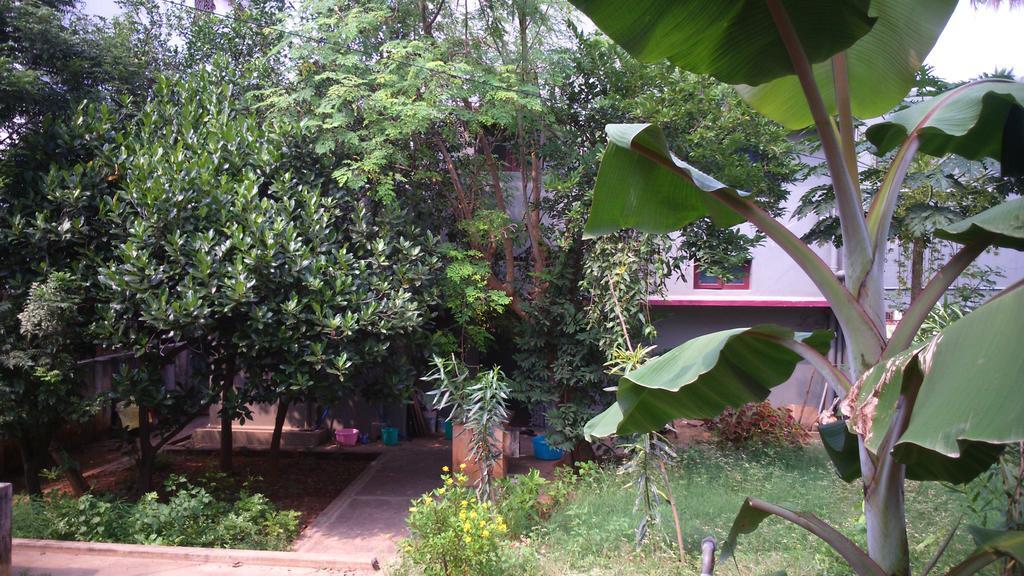 Tanjore Homestay Thanjavur Exteriör bild